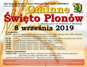 Preview gminne  wi to plon w 2019   poziom 1