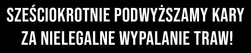 94930961 1352623664937108 5661016687130968064 o   kopia