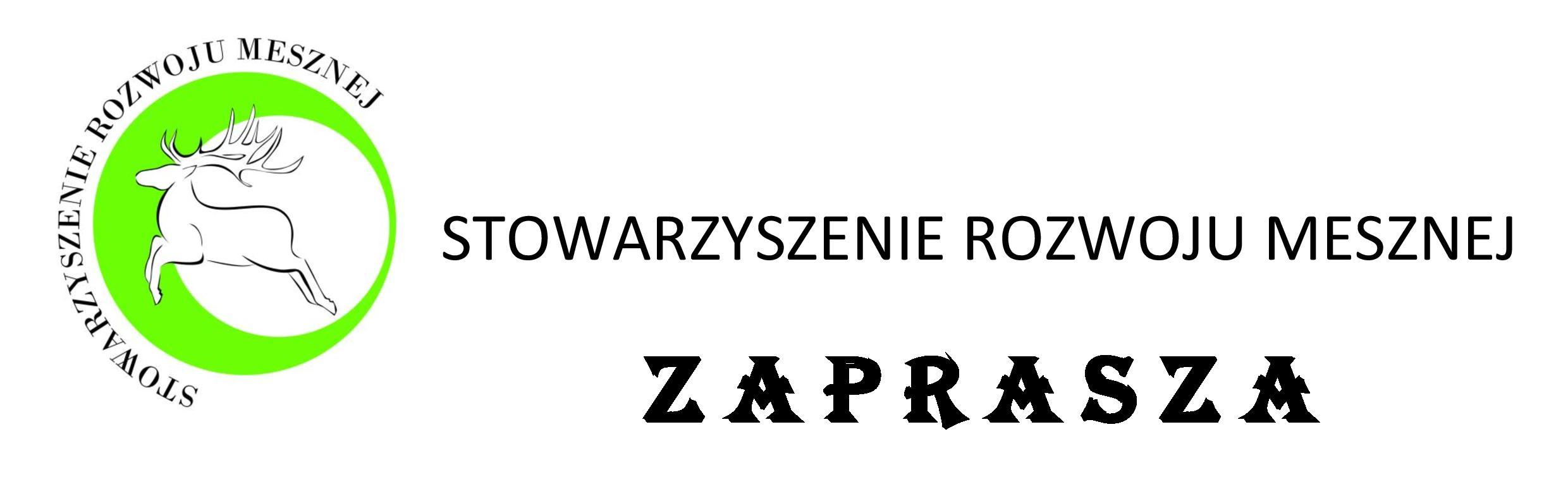 Kopia stowarzyszenie rozwoju mesznej page 001